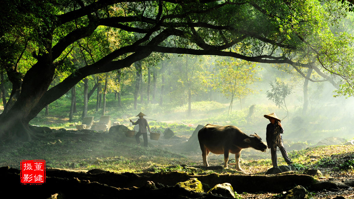 1606368570223920u9a6.jpg 1606368570223920u9a6.jpg