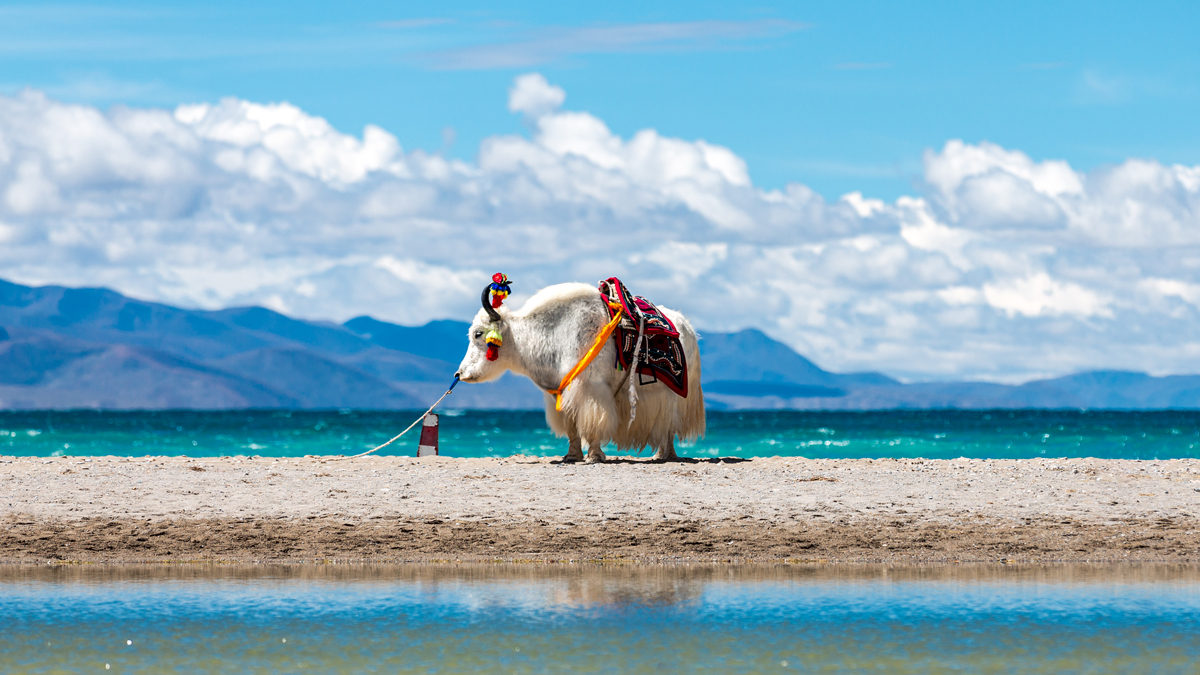 1606368814519928vtkB.jpg 1606368814519928vtkB.jpg