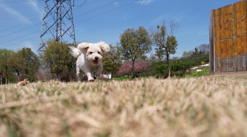 1682213528530246lPzb.jpg 1682213528530246lPzb.jpg